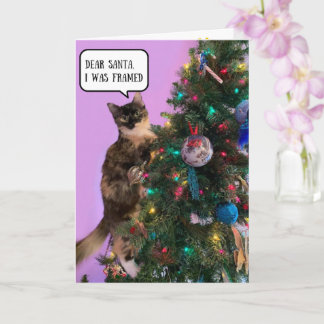Lustige Katze in Schwierigkeiten mit dem Weihnacht Karte