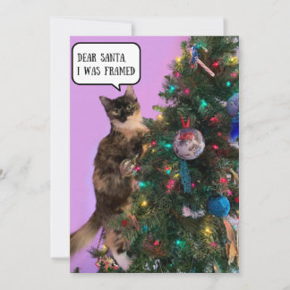 Lustige Katze in Schwierigkeiten mit Weihnachtsman Feiertagskarte