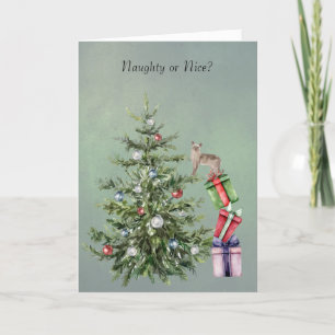 Lustige Katze klettert auf einen Weihnachtsbaum Fe Feiertagskarte