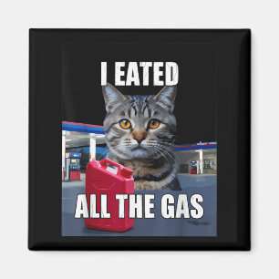 Lustige Katze Meme Ich Aß Wollte Das ganze Gas Lus Magnet