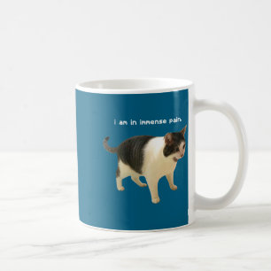 Lustige Katze mit enormen Schmerzen Meme Kaffeetasse