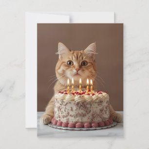 Lustige Katze mit Geburtstagskuchen Postkarte