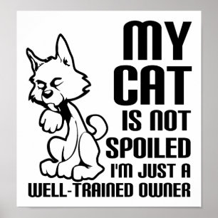 Lustige Katze nicht verwöhnt Poster