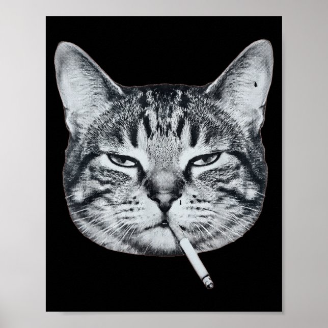 Lustige Katze raucht Zigarette Tabby-Katze Meme Br Poster (Vorne)