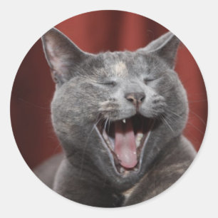 Lustige Katze Runder Aufkleber