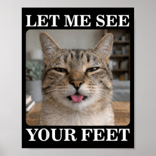 Lustige Katze Selfie Lustige Katze Meme Männer Fra Poster