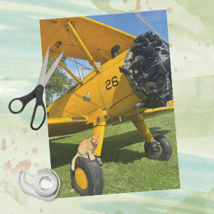 Lustige Katze sitzt Flugzeug Luftfahrt Humor Pilot Seidenpapier