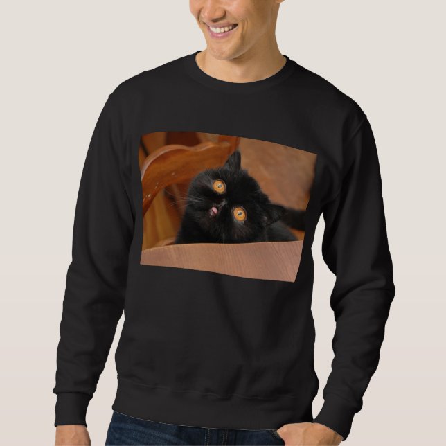 Lustige Katze Sweatshirt (Vorderseite)