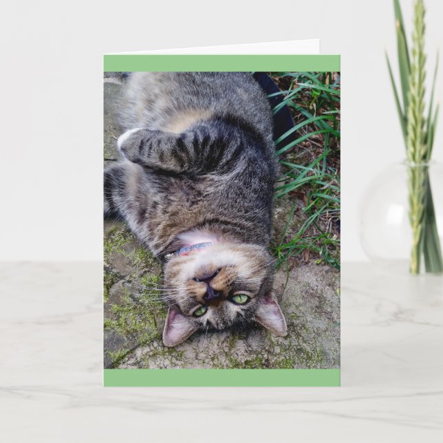 Lustige Katze TENS-Einheit Karte (Vorderseite)
