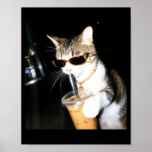 Lustige Katze trinkt Eiskaffee Humor Meme Kätzchen Poster