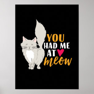 Lustige Katze und Kätzchen Liebe Du hast mich bei Poster