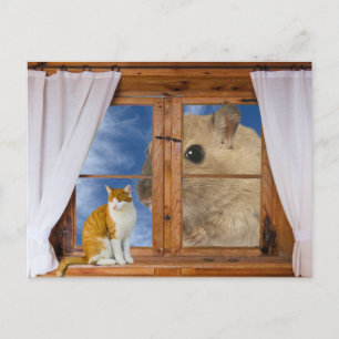 Lustige Katze und Maus Postkarte