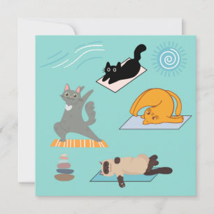 Lustige Katzen beim Yoga Karte