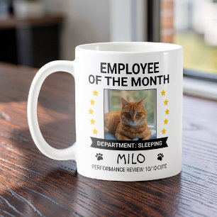 Lustige Katzen Büro Humor Mitarbeiter des Monats F Kaffeetasse