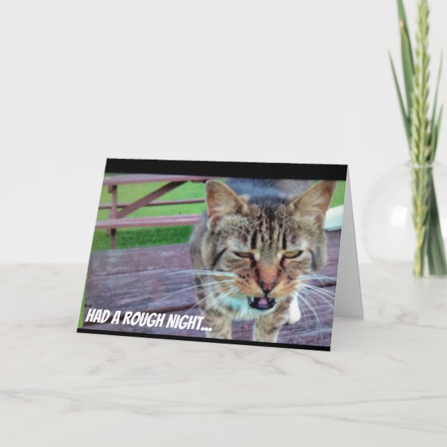 Lustige Katzen-Geburtstags-Karte Karte (Vorderseite)