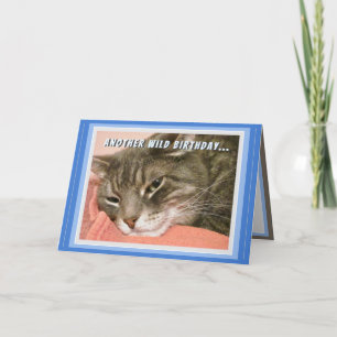 Lustige Katzen-Geburtstagskarte Karte