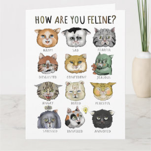 Lustige Katzen-Gefühlsanzeige Wie geht es dir, Kat Karte
