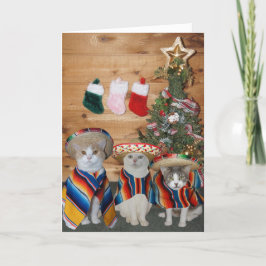 Lustige Katzen/Kätzchen Feliz Navidad Feiertagskarte