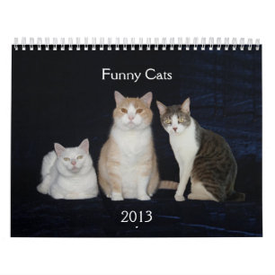 Lustige Katzen/Kätzchen Kalender