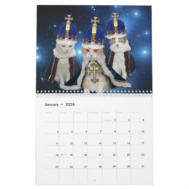 Lustige Katzen/Kätzchen Kalender (Jan 2026)