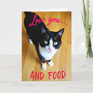 Lustige Katzen-Liebe-Essen-Karte Karte