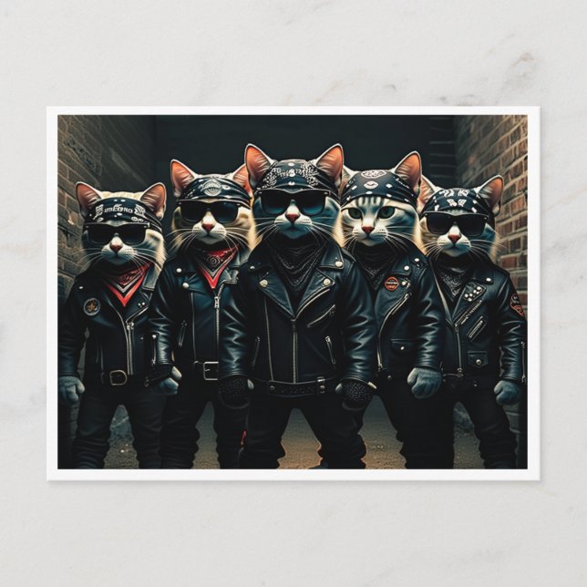 Lustige Katzen. Postkarte (Vorderseite)