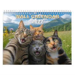 Lustige Katzen-Selfies und süße Katzenmomente Kalender