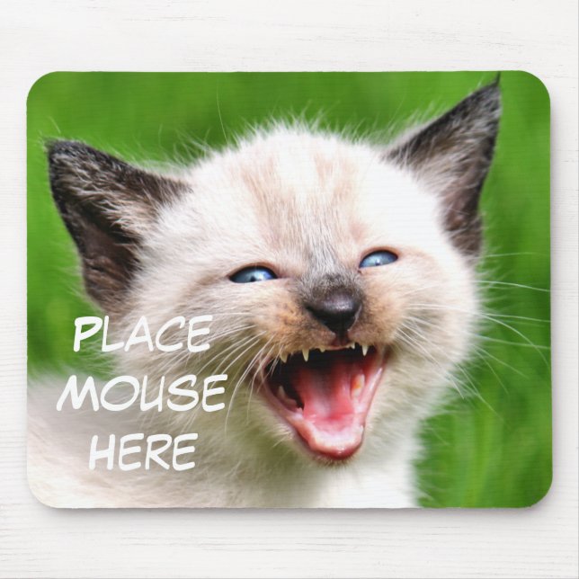 Lustige Katzen-siamesische Kätzchen-Platz-Maus Mousepad (Vorne)