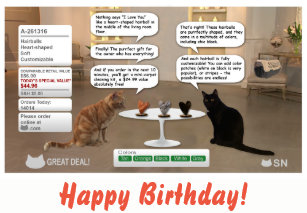 Gewinnspiele Zum Thema Katze Jetzt Auf Katze Net