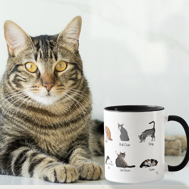 Lustige Katzenkommandos illustrierte Trainingsgraf Tasse (Von Creator hochgeladen)