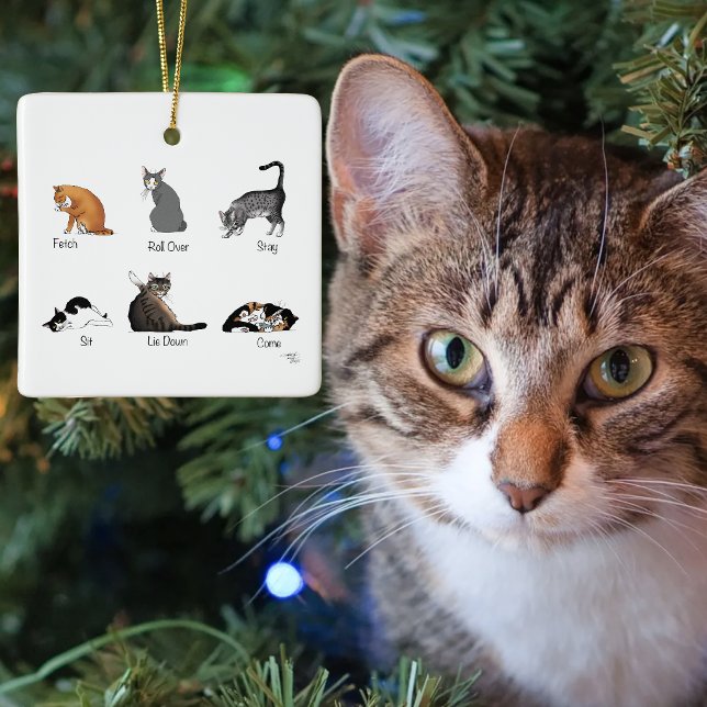Lustige Katzenkommandos illustrierte Trainingskart Keramikornament (Von Creator hochgeladen)