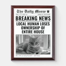 Lustige Katzenzeitung Breaking News Foto