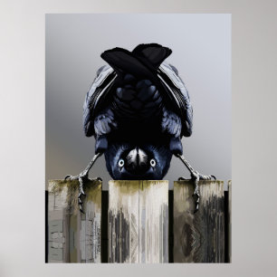 Lustige Krähenwandkunst – Kopfstehender Vogel Poster