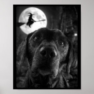 Lustige Labrador-Selfie Damen Vollmond Fliegend Poster