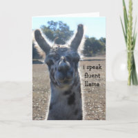 Lustige Lama-Geburtstags-Karte, spreche ich