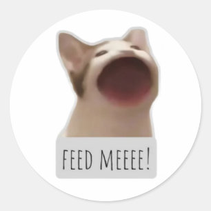 lustige Meme-Katze Runder Aufkleber