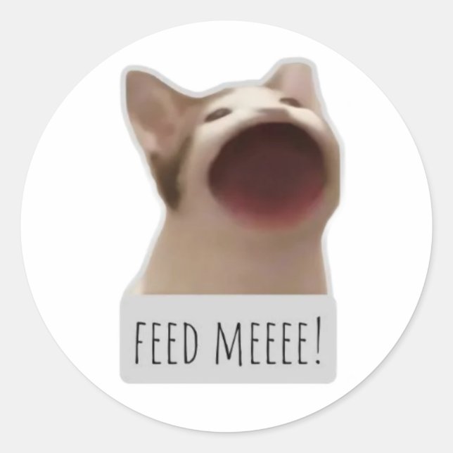 lustige Meme-Katze Runder Aufkleber (Vorderseite)