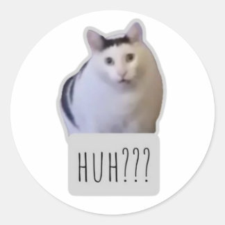lustige Meme-Katze Runder Aufkleber