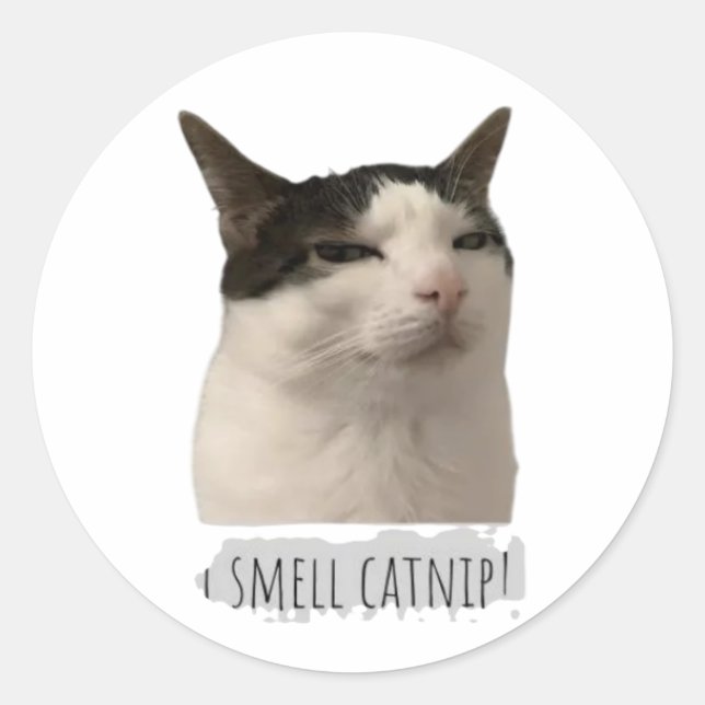 lustige Meme-Katze Runder Aufkleber (Vorderseite)