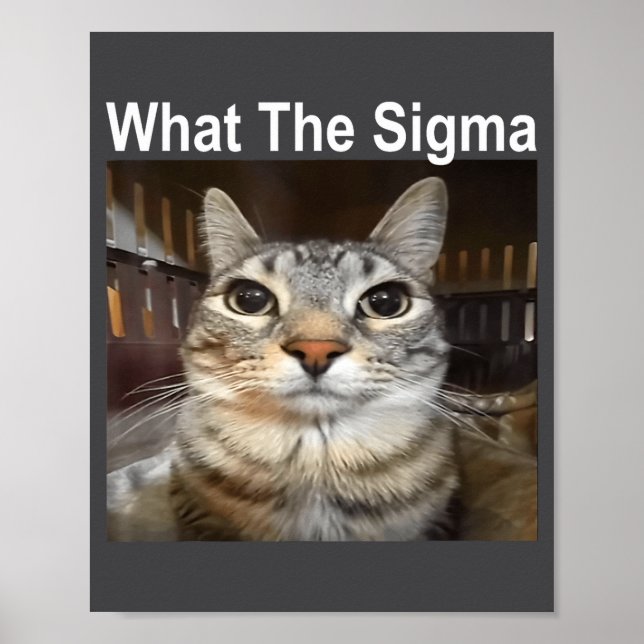 Lustige Meme-Katze Was The Sigma Süße Katzen-Meme- Poster (Vorne)
