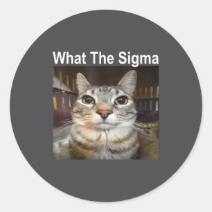 Lustige Meme-Katze What The Sigma Süße Katzen-Meme Runder Aufkleber