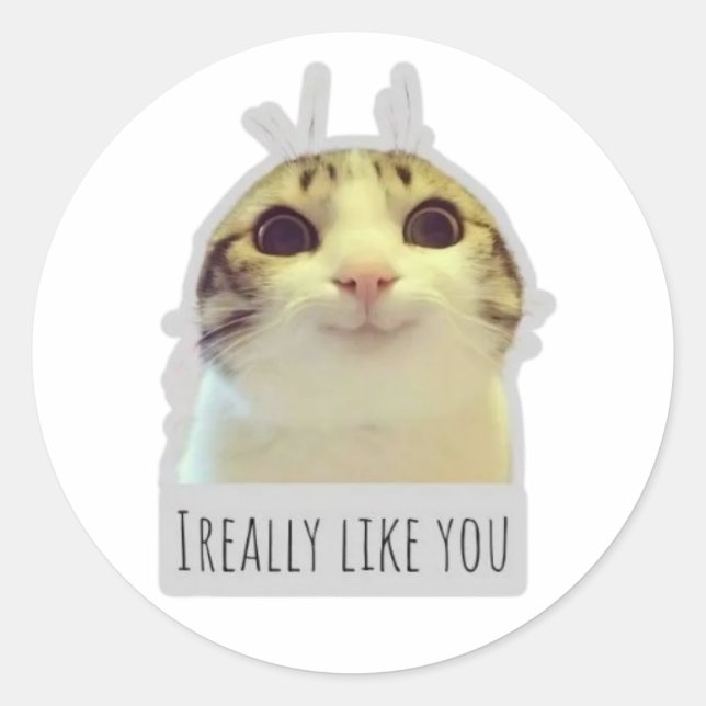 lustige Memekatze Runder Aufkleber (Vorderseite)
