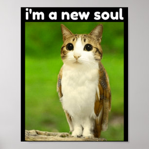 Lustige Meowl Gehirnverrottung Meme Katze Eule Poster