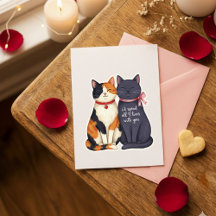 Lustige Neun Leben Katzen Valentinsliebeskarte