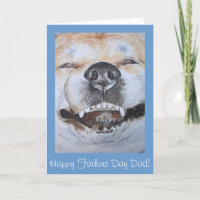 lustige niedliche akita lächelnd realistische Hund