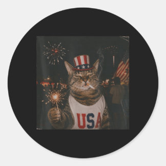 Lustige patriotische Katze Vintage 4. Juli 250 Jah Runder Aufkleber