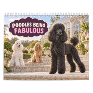 Lustige Poodles, die Fabelhaft sind Kalender