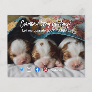 Lustige Postkarte zum Thema Immobilien, beengtes W Flyer