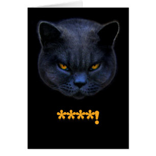 Lustige Querkatze sagt ****!