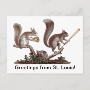 Lustige Rally-Eichhörnchen-Grüße aus St. Louis! Postkarte